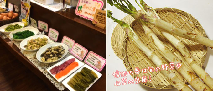 春の旬の野菜フェア