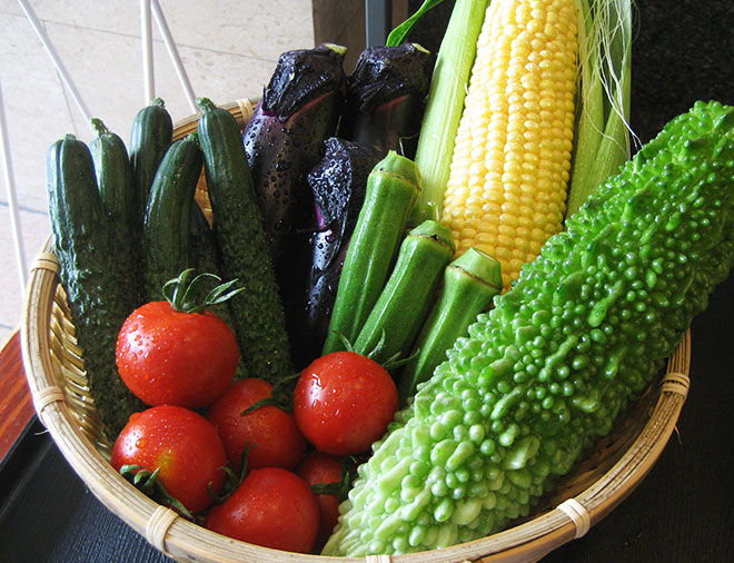 新鮮な地元野菜