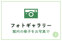 フォトギャラリー